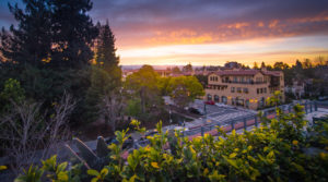 Palo Alto Sunset