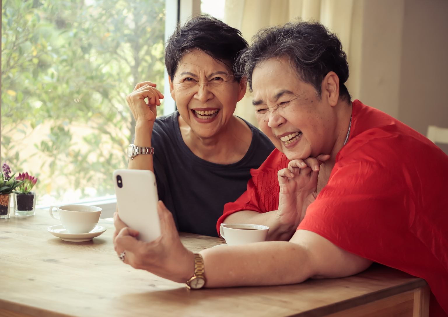 Digital Inclusion Workgroup for Older Adults Age Friendly Silicon Valley